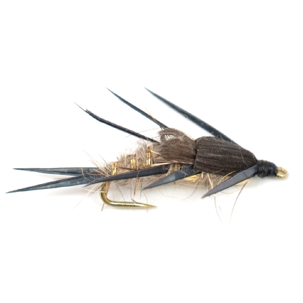 Western Trout Fly Assortment -  24 Essential Trout Flies with Fly Box