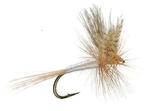 3 Pack Light Cahill Classic Trout Dry Fly Fishing Fly - Hook Size 16