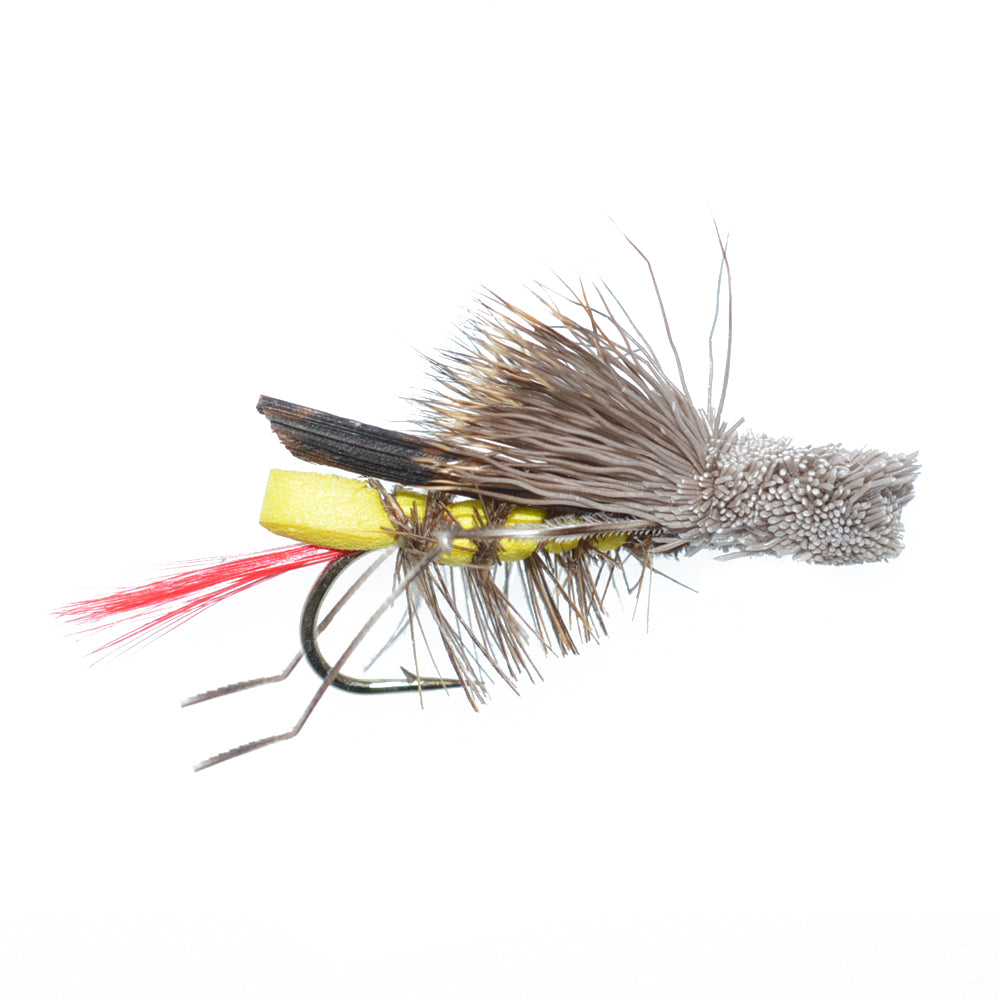 Western Trout Fly Assortment -  24 Essential Trout Flies with Fly Box