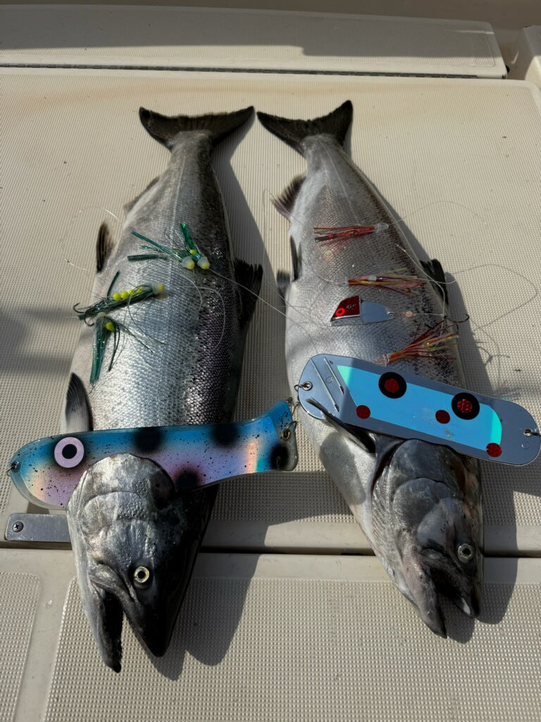 Ice Strong Outdoors - 8.5" Dual Fin Flasher Series