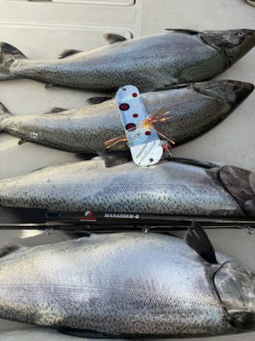 Ice Strong Outdoors - 8.5" Dual Fin Flasher Series