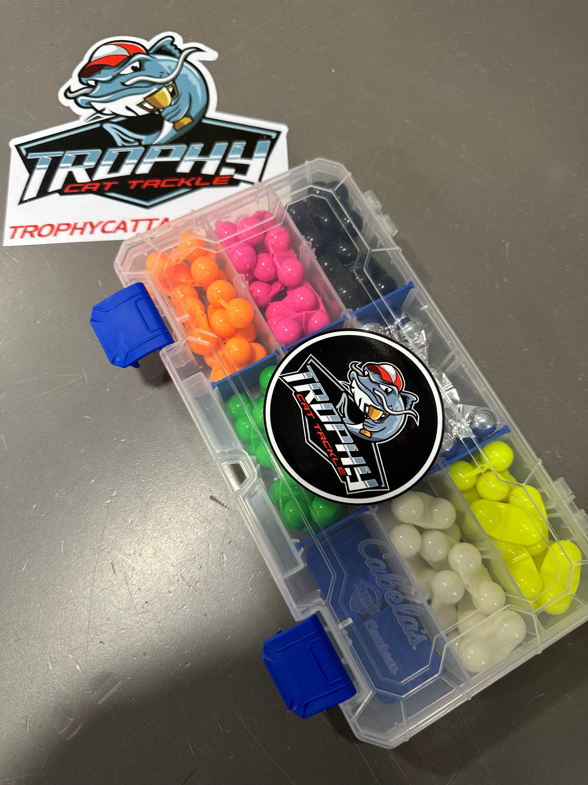 Catfish Rig Rattle Box | Trophy Cat Tackle