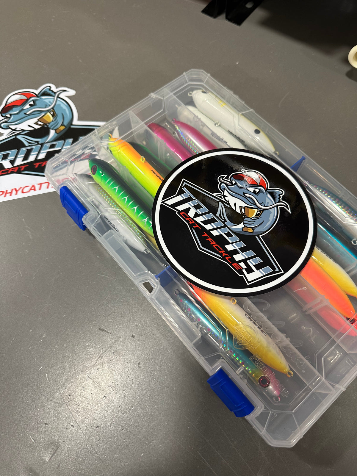 Kitty Call Catfish Rattle Box | Trophy Cat Tackle