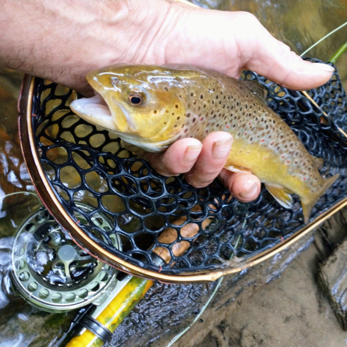 Pocket Water - Bamboo Fly Fishing Landing Net/Hand Net