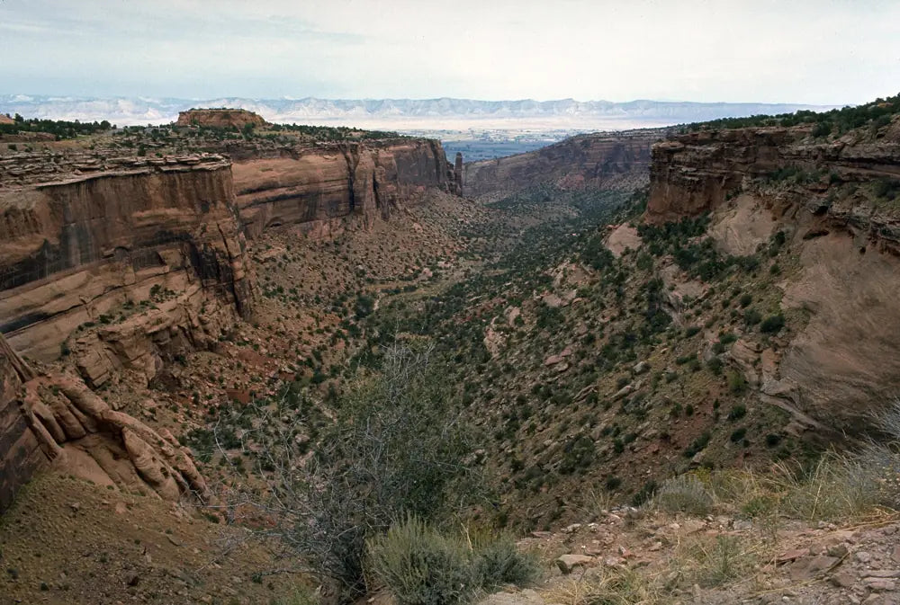 Red rock canyons of Colorado National Monument